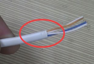 电话线剪断后能否再连接？解析与操作指南